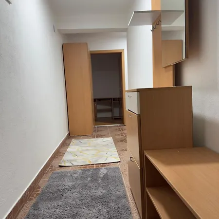 Apartament Ameti *